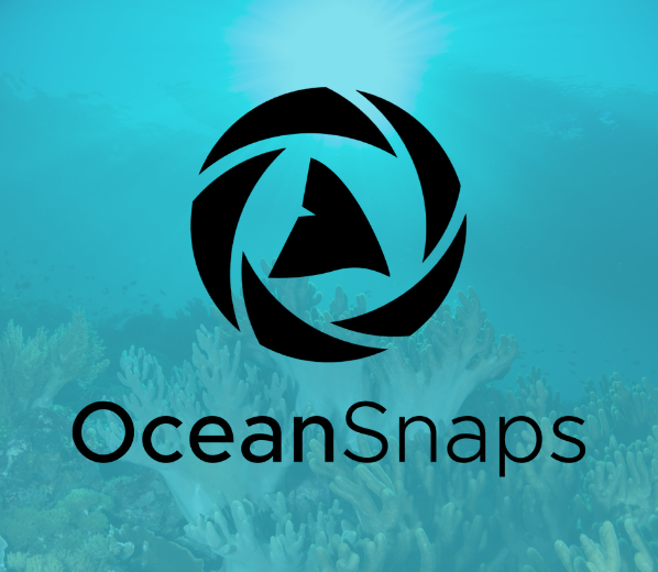 OceanSnaps